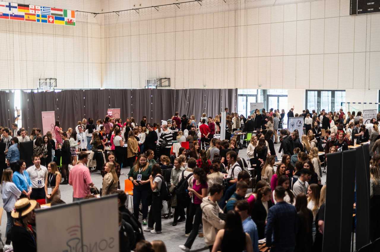 participation illustration